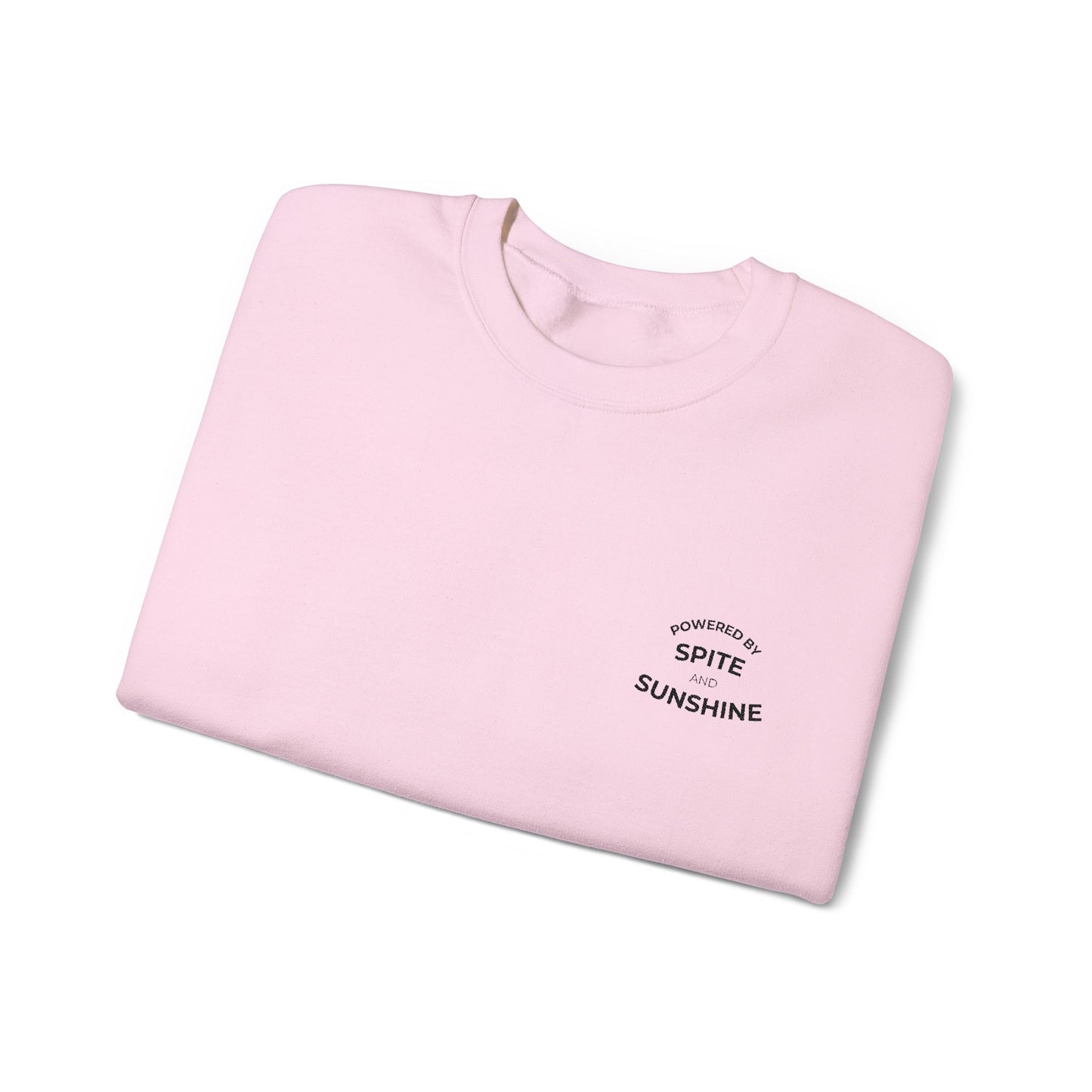 Embroidered Sweatshirt | Spite & Sunshine