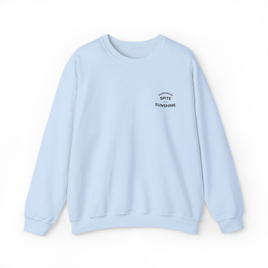 Embroidered Sweatshirt | Spite & Sunshine