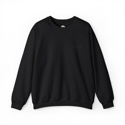 Embroidered Sweatshirt | A Little Ray of Pitch Black
