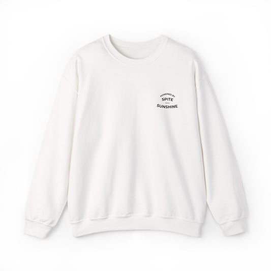 Embroidered Sweatshirt | Spite & Sunshine