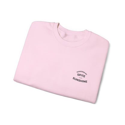 Embroidered Sweatshirt | Spite & Sunshine