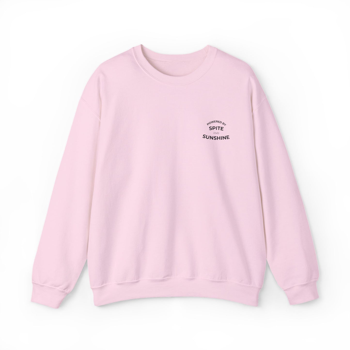 Embroidered Sweatshirt | Spite & Sunshine